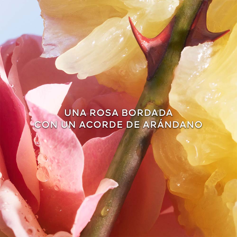 LA PETITE ROBE NOIRE EL FRASCO DE CORAZÓN EAU DE TOILETTE